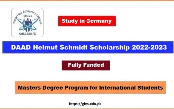 DAAD Helmut Schmidt Scholarship 2022